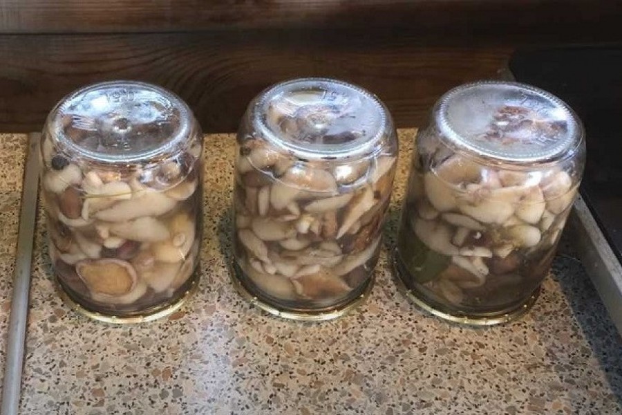 Мариновать грибы в домашних условиях рецепт на зиму без стерилизации