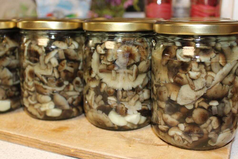 Маринованные грибы рецепт в домашних условиях самый